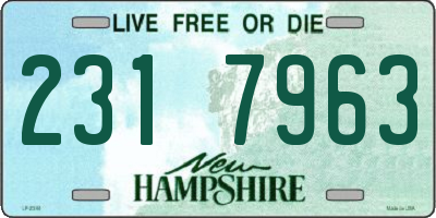 NH license plate 2317963