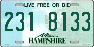 NH license plate 2318133