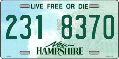 NH license plate 2318370