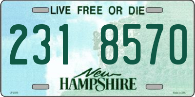 NH license plate 2318570