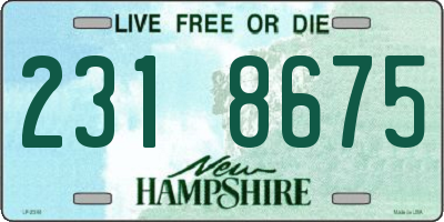 NH license plate 2318675