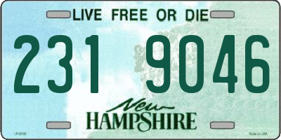 NH license plate 2319046