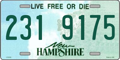 NH license plate 2319175
