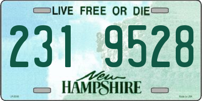 NH license plate 2319528