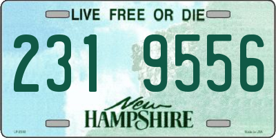 NH license plate 2319556