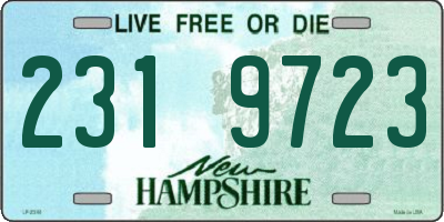 NH license plate 2319723