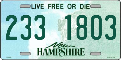 NH license plate 2331803