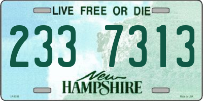 NH license plate 2337313
