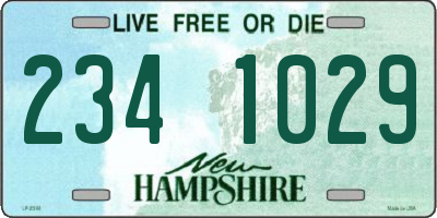 NH license plate 2341029