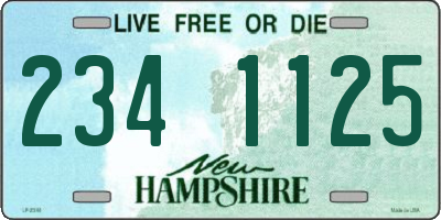 NH license plate 2341125