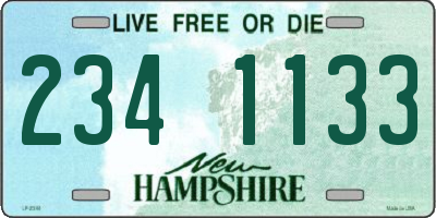 NH license plate 2341133
