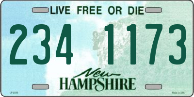 NH license plate 2341173