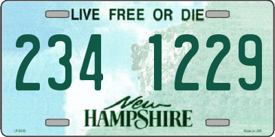 NH license plate 2341229