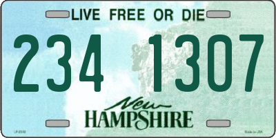 NH license plate 2341307