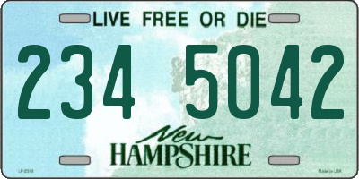 NH license plate 2345042