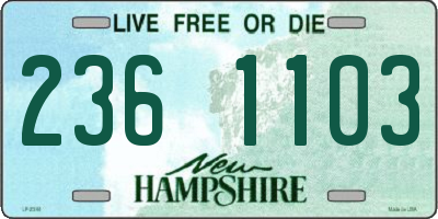 NH license plate 2361103