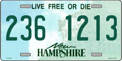NH license plate 2361213