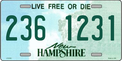NH license plate 2361231