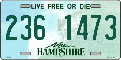 NH license plate 2361473