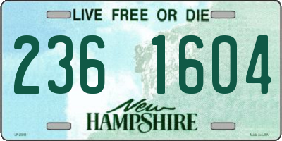 NH license plate 2361604