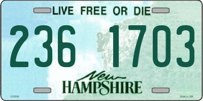 NH license plate 2361703