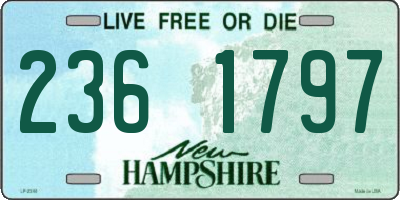 NH license plate 2361797