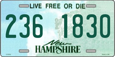 NH license plate 2361830