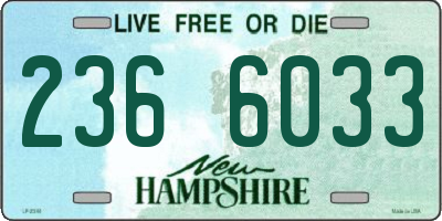 NH license plate 2366033