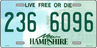 NH license plate 2366096