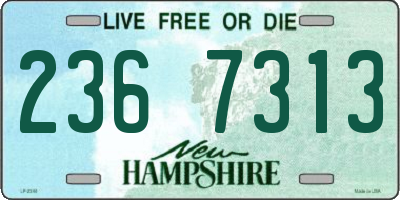 NH license plate 2367313