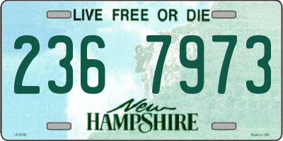 NH license plate 2367973