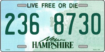 NH license plate 2368730