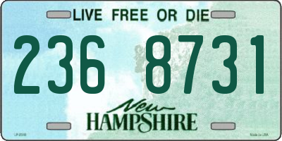 NH license plate 2368731