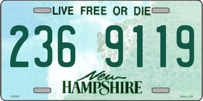 NH license plate 2369119
