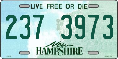 NH license plate 2373973