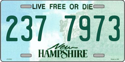 NH license plate 2377973