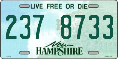 NH license plate 2378733