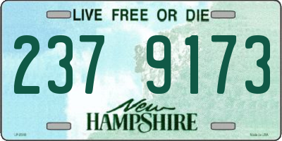NH license plate 2379173