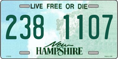 NH license plate 2381107
