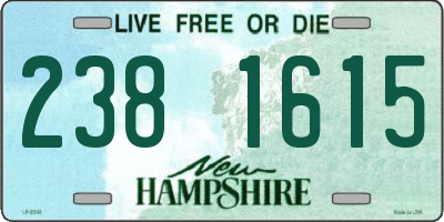NH license plate 2381615