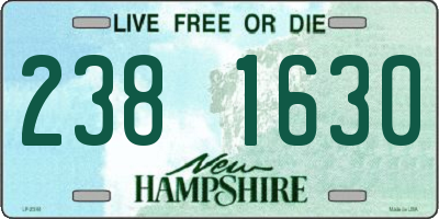 NH license plate 2381630