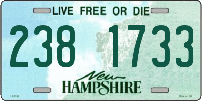 NH license plate 2381733