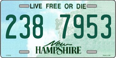 NH license plate 2387953