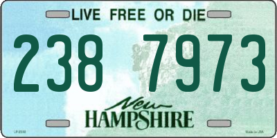 NH license plate 2387973