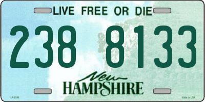 NH license plate 2388133
