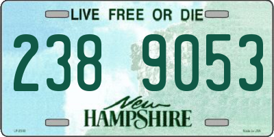 NH license plate 2389053