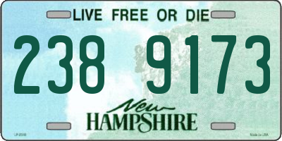 NH license plate 2389173
