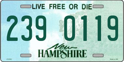 NH license plate 2390119