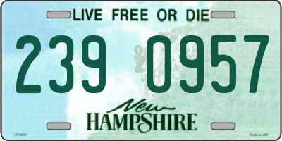 NH license plate 2390957
