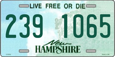 NH license plate 2391065